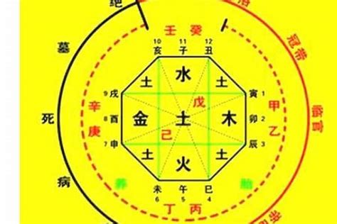 生辰八字五行算命|生辰八字算命、五行喜用神查询（免费测算）